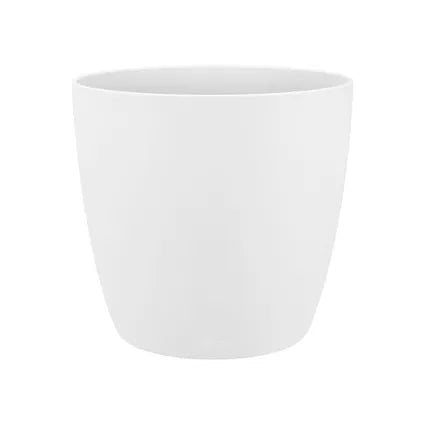 Witte Pot 12 cm